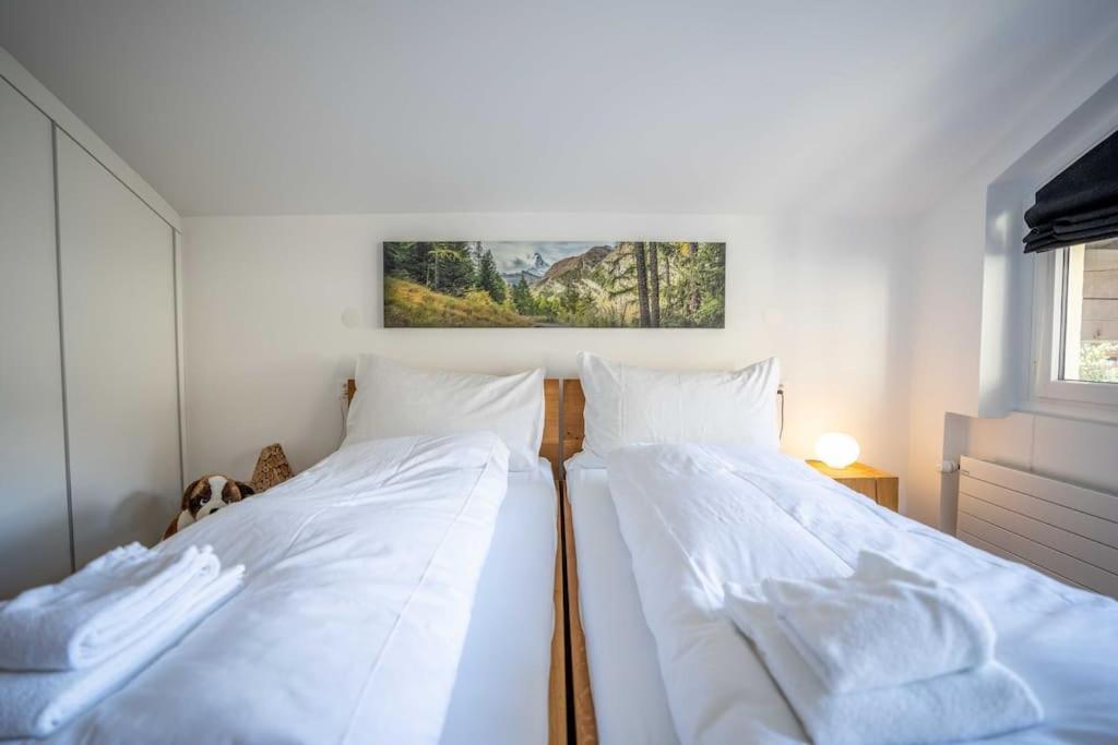 Moderne Wohnung Mit Ausblick Und Viel Sonne 采尔马特 外观 照片